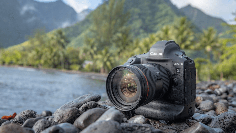 Canon EOS-1D X: A Professional Powerhouse in 2024